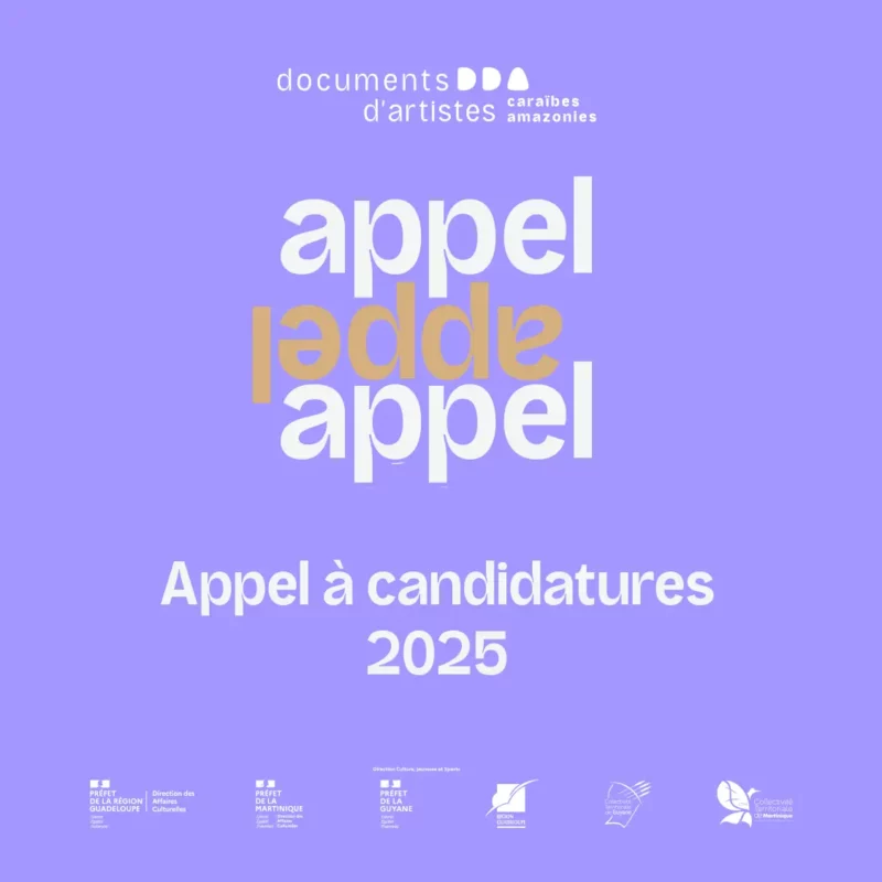 Documents d'artiste appel à candidature 2025